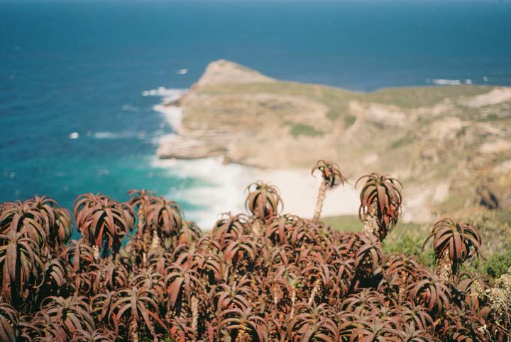 water-works-4-cape-point-02-m